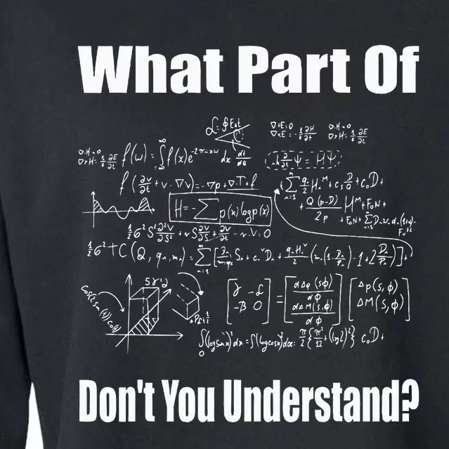 What Part Of DonT You Understand Funny Math Teacher Cropped Pullover Crew