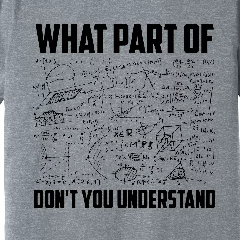 What Part Of Dont You Understand Funny Math Teacher Gift Premium T-Shirt