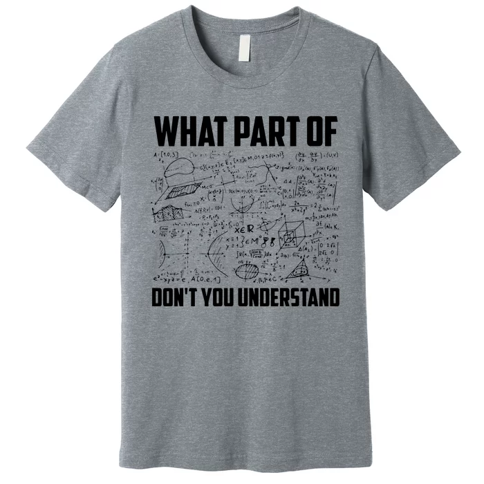 What Part Of Dont You Understand Funny Math Teacher Gift Premium T-Shirt