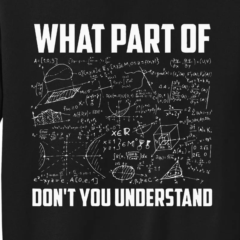 What Part Of DonT You Understand Funny Math Teacher Gift Tall Sweatshirt