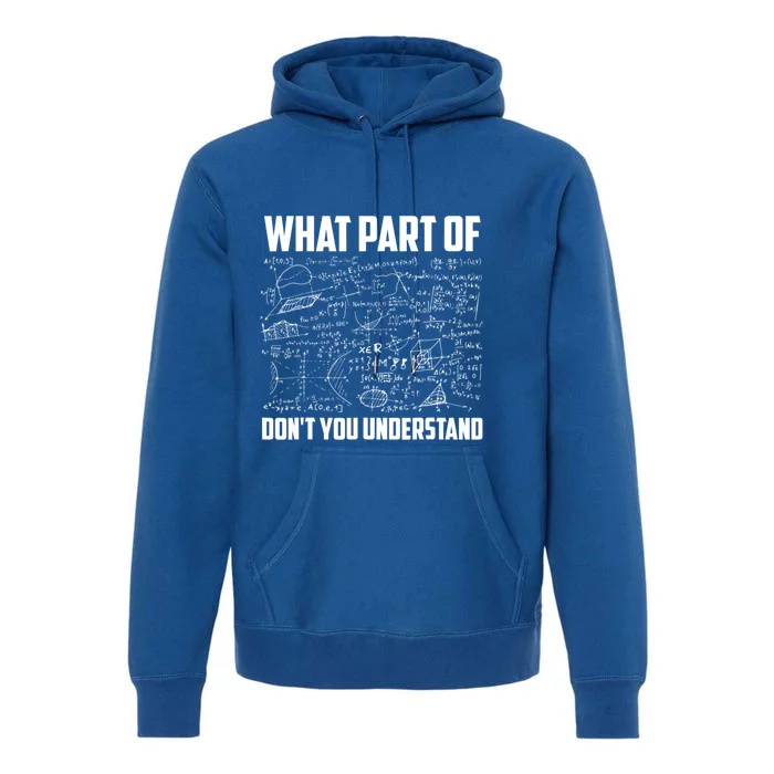 What Part Of Don't You Understand Funny Math Teacher Gift Premium Hoodie