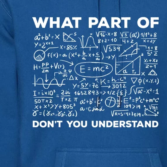 What Part Of Don't You Understand Funny Math Teacher Gift Premium Hoodie