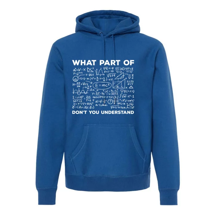 What Part Of Don't You Understand Funny Math Teacher Gift Premium Hoodie