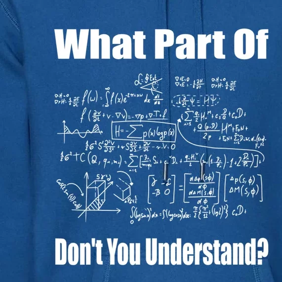 What Part Of Don't You Understand Funny Math Teacher Gift Premium Hoodie