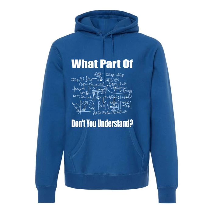 What Part Of Don't You Understand Funny Math Teacher Gift Premium Hoodie