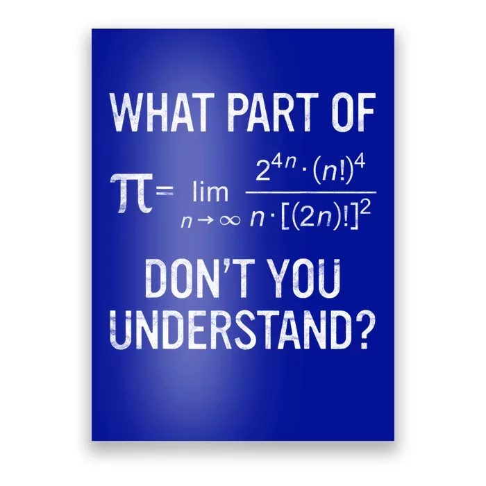 What Part Of Don't You Understand Math Equation Pi Day Gift Poster