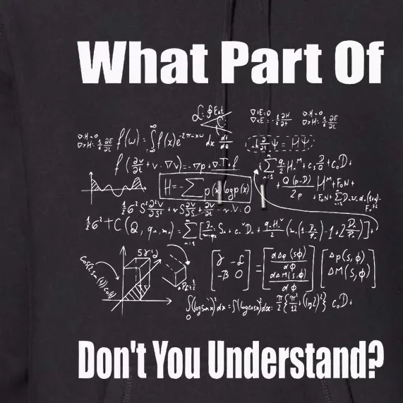 What Part Of Dont You Understand Funny Math Teacher Premium Hoodie