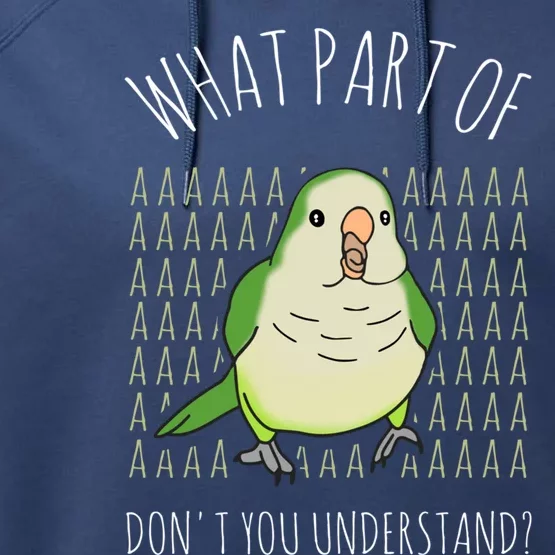 What Part Of Aaaaa Don&X27;T You Understand Green Quaker Performance Fleece Hoodie