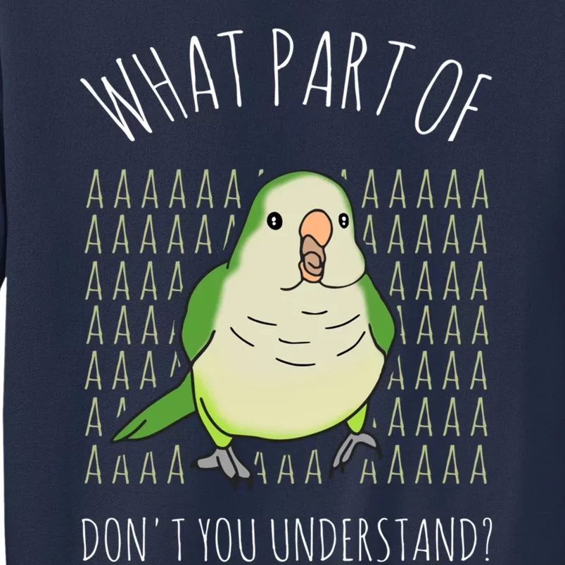 What Part Of Aaaaa Don&X27;T You Understand Green Quaker Sweatshirt