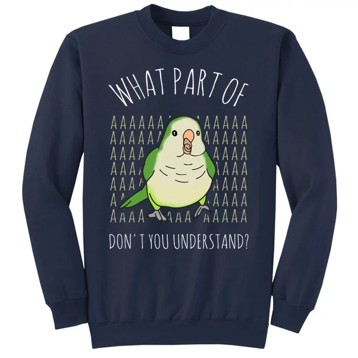 What Part Of Aaaaa Don&X27;T You Understand Green Quaker Sweatshirt