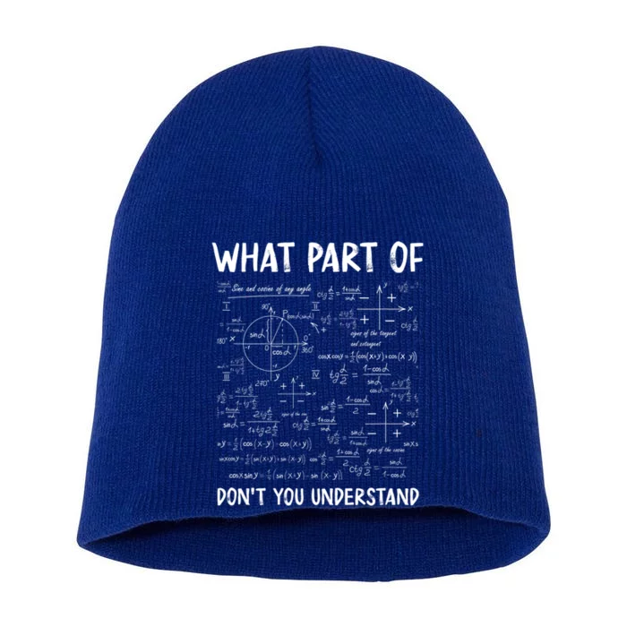 What Part Of Don't You Understand Gift Short Acrylic Beanie