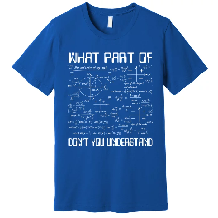 What Part Of Don't You Understand Funny Math Gift Meaningful Gift Premium T-Shirt