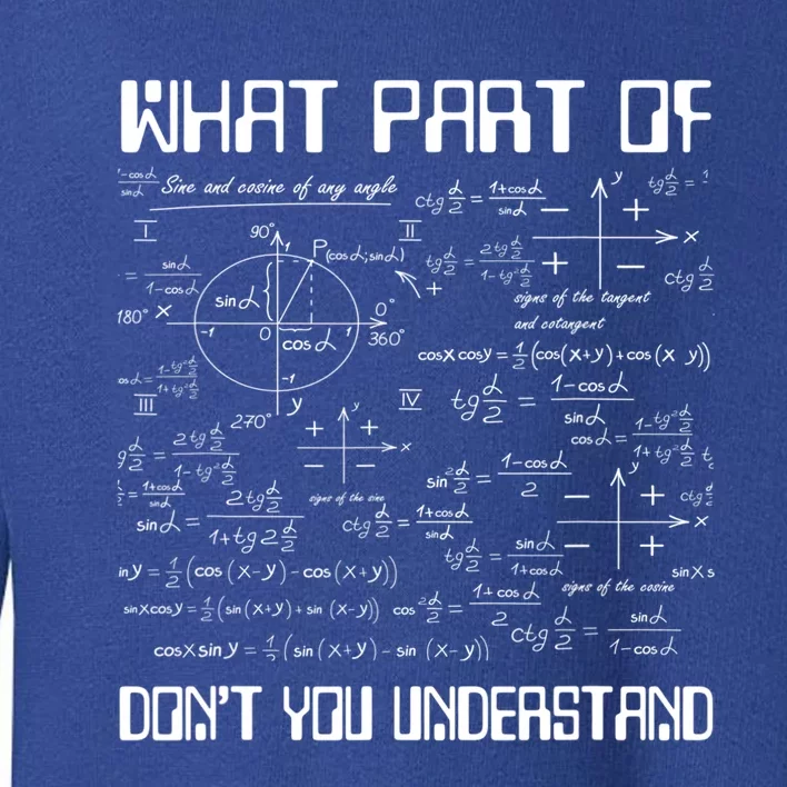 What Part Of Don't You Understand Funny Math Gift Meaningful Gift Toddler Sweatshirt