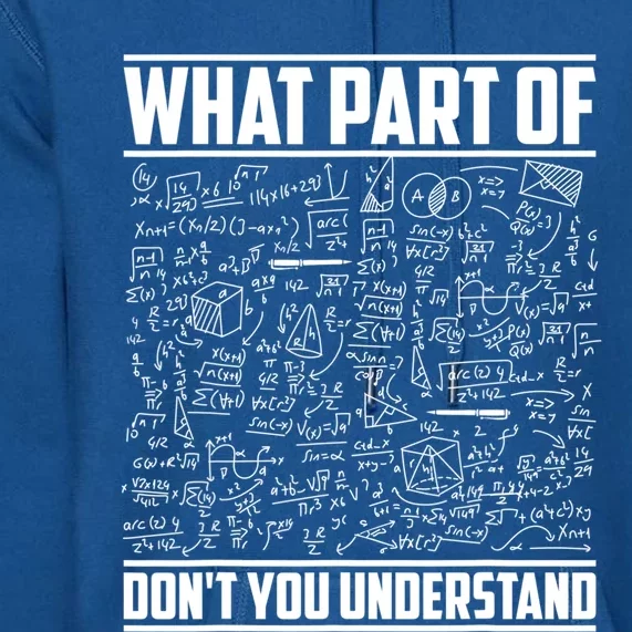 What Part Of Don't You Understand Funny Math Teacher Gift Premium Hoodie