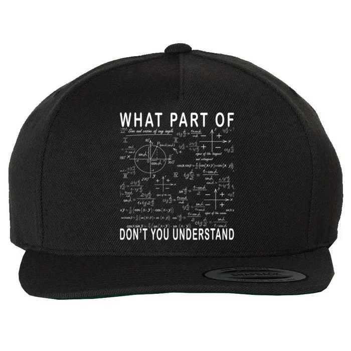 What Part Of Don't You Understand Funny Math Teacher Gift Wool Snapback Cap