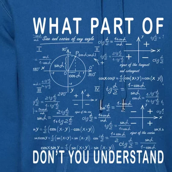 What Part Of Don't You Understand Funny Math Teacher Gift Premium Hoodie