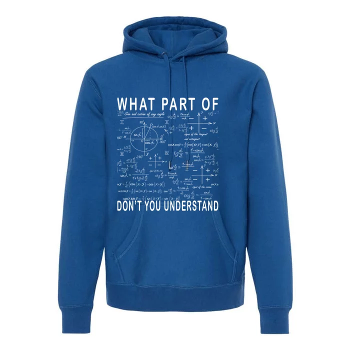 What Part Of Don't You Understand Funny Math Teacher Gift Premium Hoodie