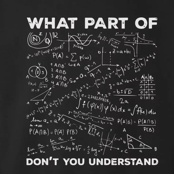 What Part Of Dont You Understand Funny Math Teacher Toddler Hoodie