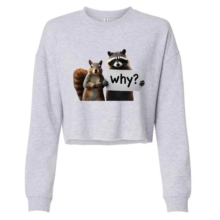 Why Peanut The Squirrel & Fred The Raccoon Cropped Pullover Crew