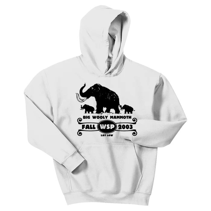 Widespread best sale panic hoodie