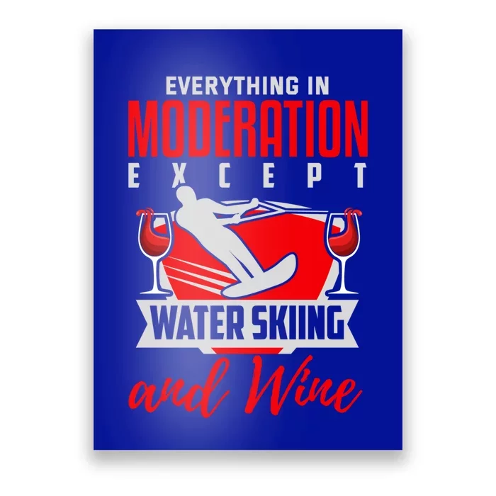 Water Ski Gift Funny Wine Lover Water Skiing Cute Gift Poster