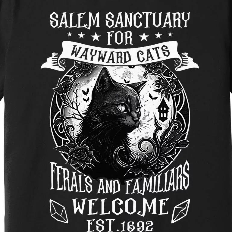 Witch Salem Home For Wayward Black Cats 1692 Halloween Premium T-Shirt