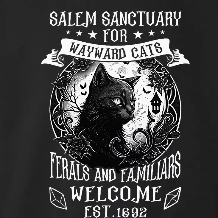 Witch Salem Home For Wayward Black Cats 1692 Halloween Women Toddler Hoodie