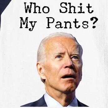 Who Shit My Pant's Funny Anti Joe Biden Baseball Sleeve Shirt