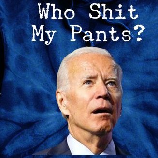 Who Shit My Pant's Funny Anti Joe Biden Tie Dye Hoodie