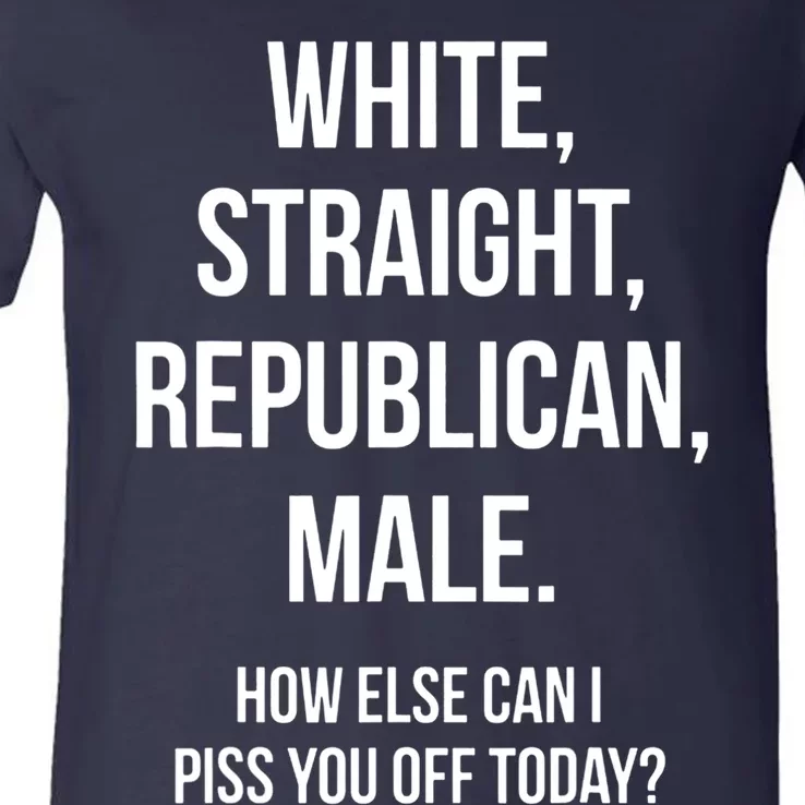 White, Straight, Republican, Male Funny Republican V-Neck T-Shirt