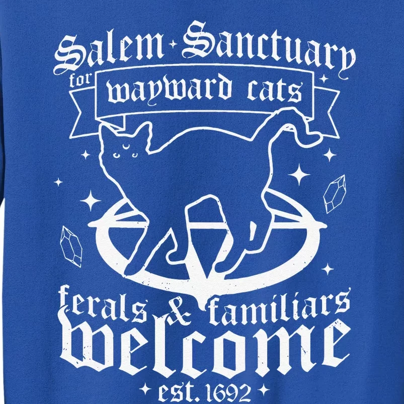 Witch Salem Sanctuary For Wayward Black Cats 1692 Halloween Cute Sweatshirt