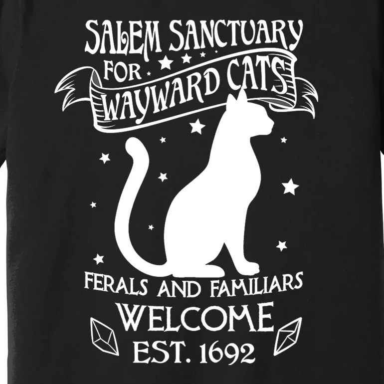 Witch Salem Sanctuary For Wayward Black Cats 1692 Gift Idea Premium T-Shirt