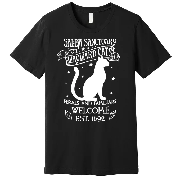 Witch Salem Sanctuary For Wayward Black Cats 1692 Gift Idea Premium T-Shirt