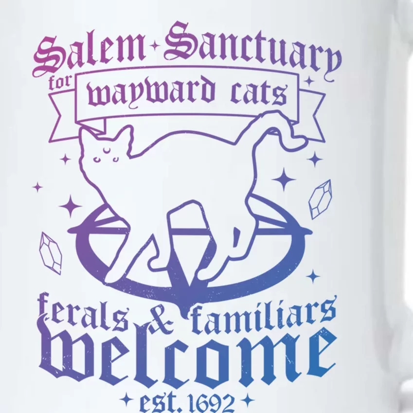 Witch Salem Sanctuary For Wayward Black Cats 1692 Halloween Cute Gift Black Color Changing Mug