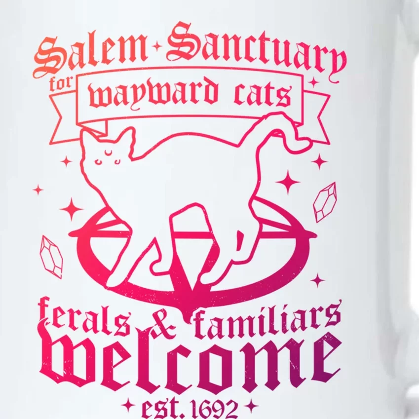 Witch Salem Sanctuary For Wayward Black Cats 1692 Halloween Cute Gift Black Color Changing Mug