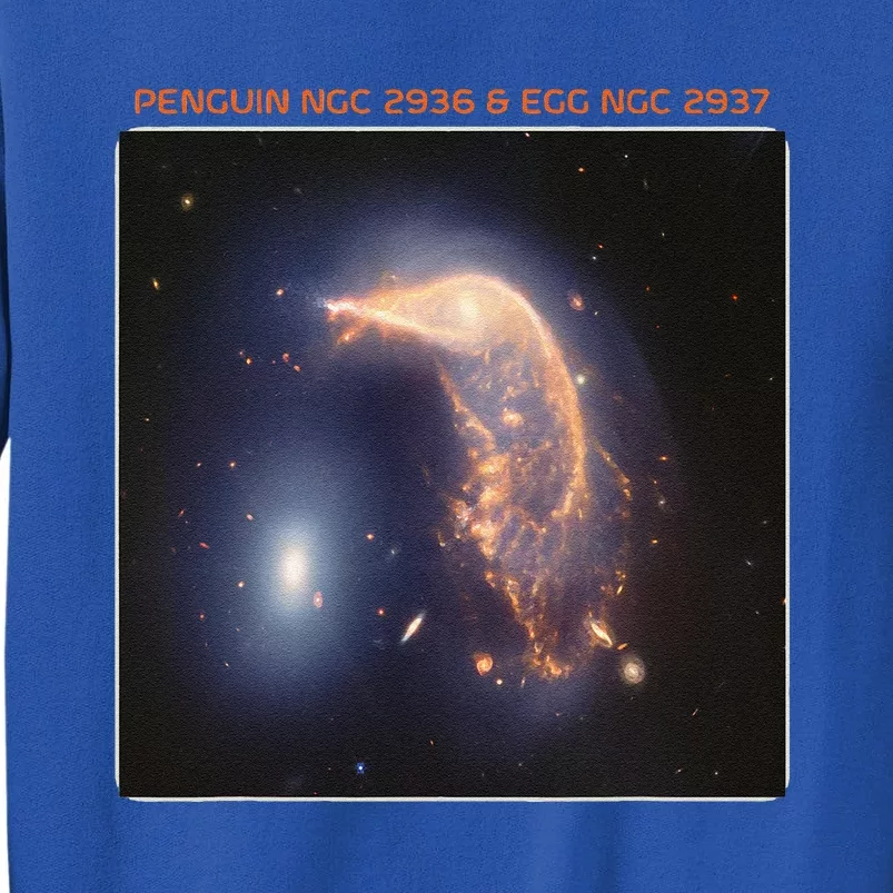 Webb Space Telescope The Penguin And Egg Ngc 2936 2937 Jwst Tall Sweatshirt