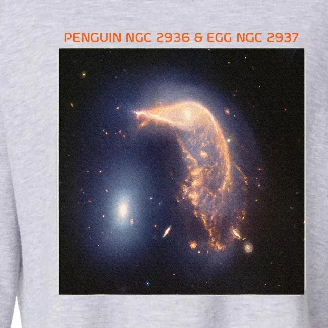 Webb Space Telescope The Penguin And Egg Ngc 2936 2937 Jwst Cropped Pullover Crew