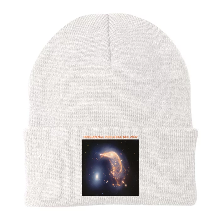 Webb Space Telescope The Penguin And Egg Ngc 2936 2937 Jwst Knit Cap Winter Beanie