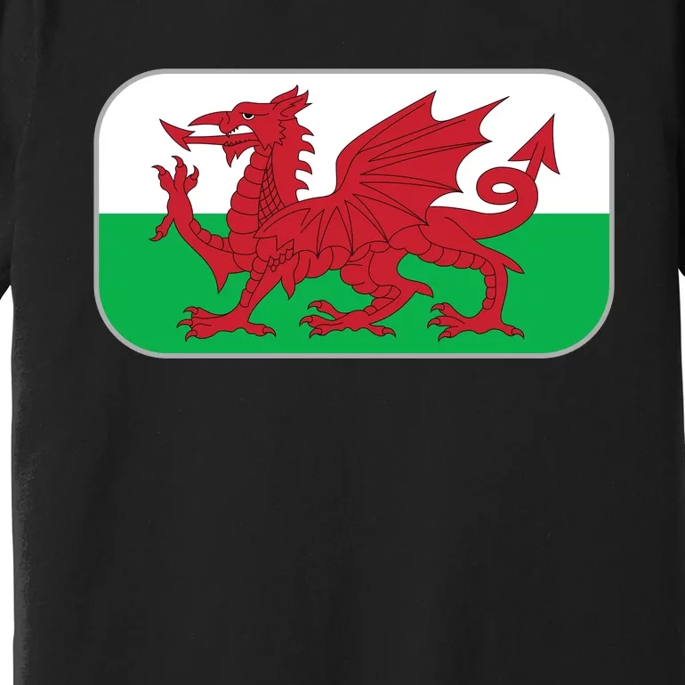 Wales Soccer Team Welsh Flag Y Ddraig Goch Premium T-Shirt