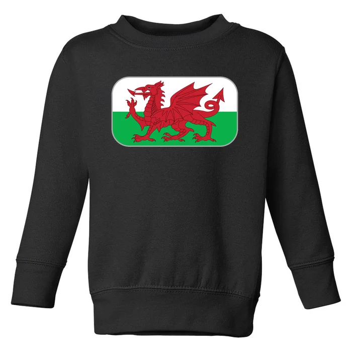 Wales Soccer Team Welsh Flag Y Ddraig Goch Toddler Sweatshirt