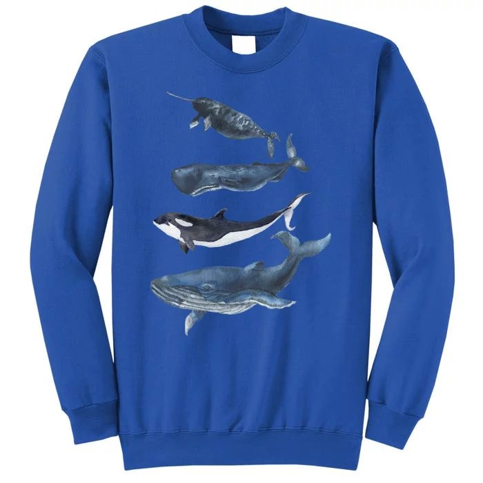 Whales Species Watercolor Whales Cool Gift Sweatshirt