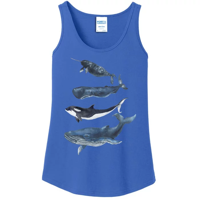 Whales Species Watercolor Whales Cool Gift Ladies Essential Tank