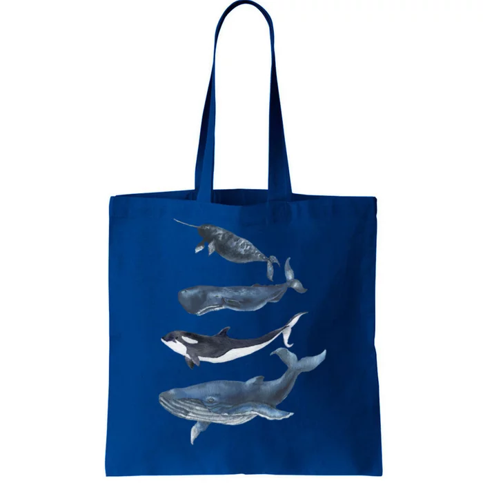 Whales Species Watercolor Whales Cool Gift Tote Bag