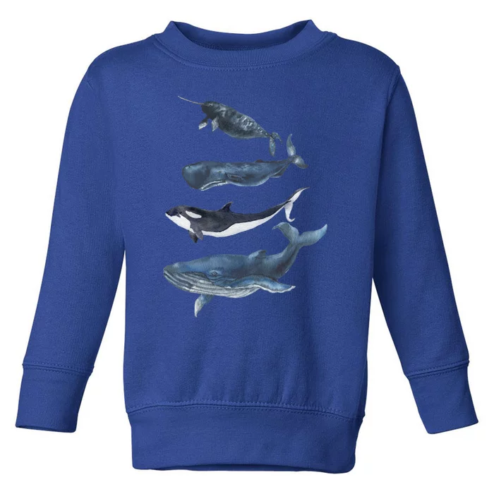 Whales Species Watercolor Whales Cool Gift Toddler Sweatshirt