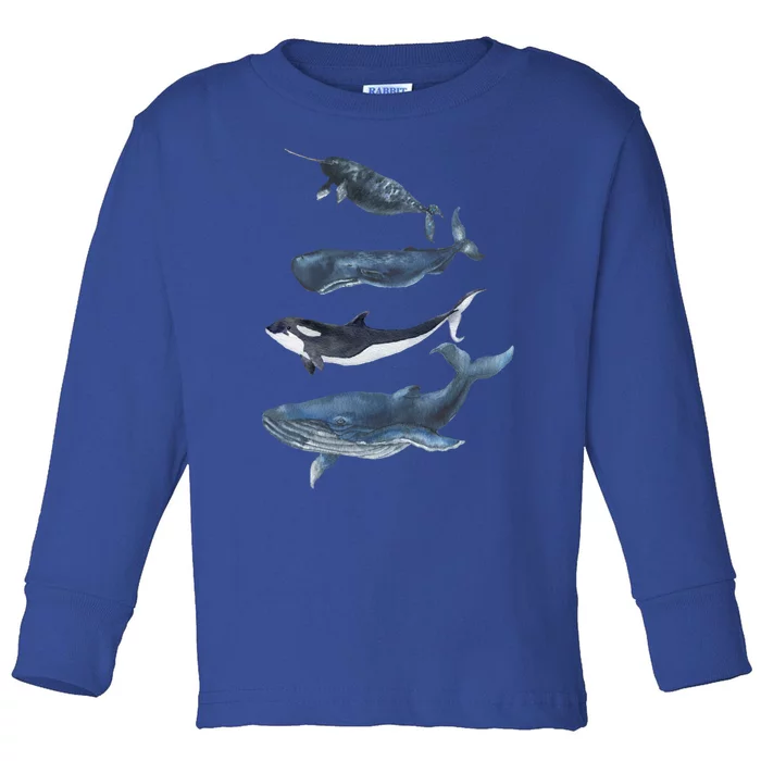 Whales Species Watercolor Whales Cool Gift Toddler Long Sleeve Shirt