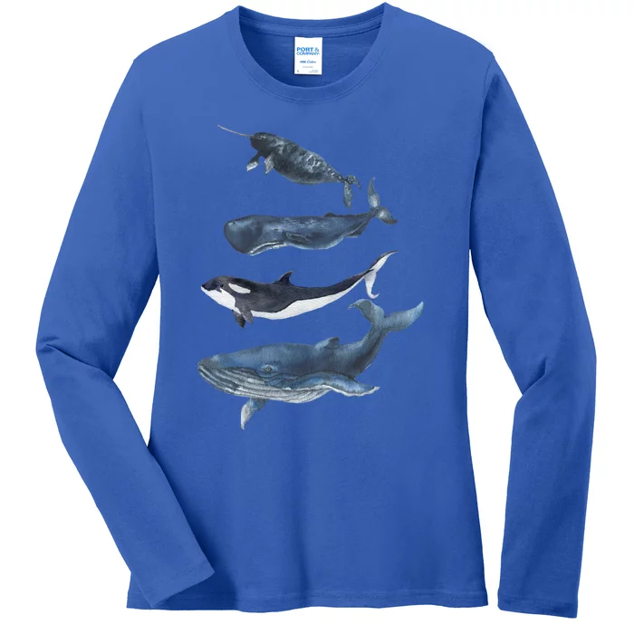 Whales Species Watercolor Whales Cool Gift Ladies Long Sleeve Shirt