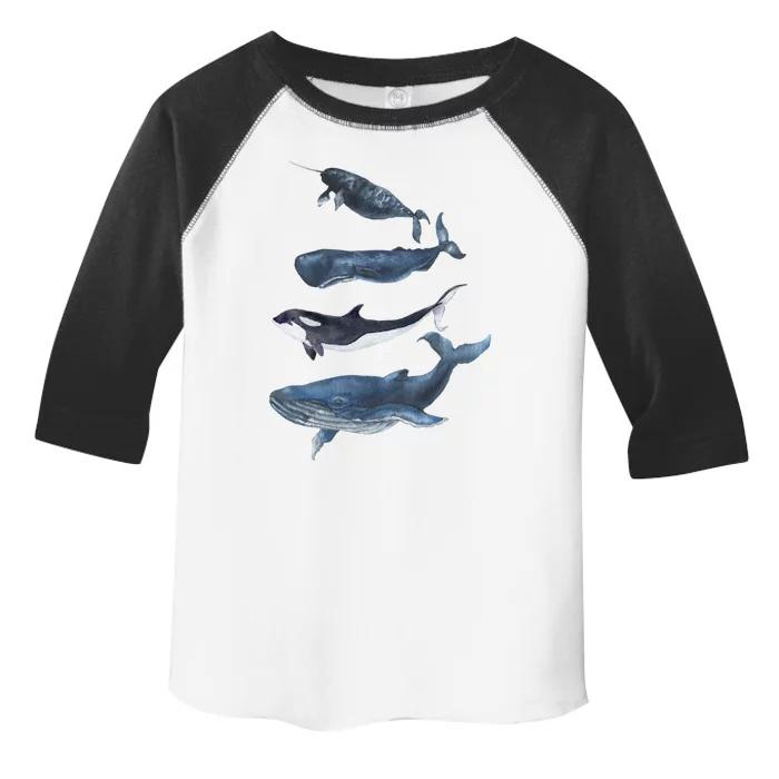 Whales Species Watercolor Whales Cool Gift Toddler Fine Jersey T-Shirt