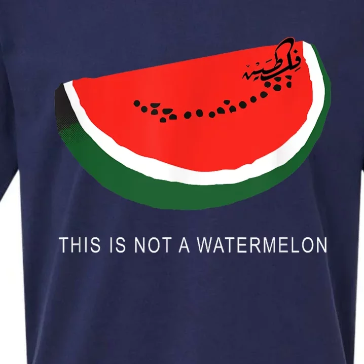 Watermelon This Is Not A Watermelon Palestine Collection Sueded Cloud Jersey T-Shirt