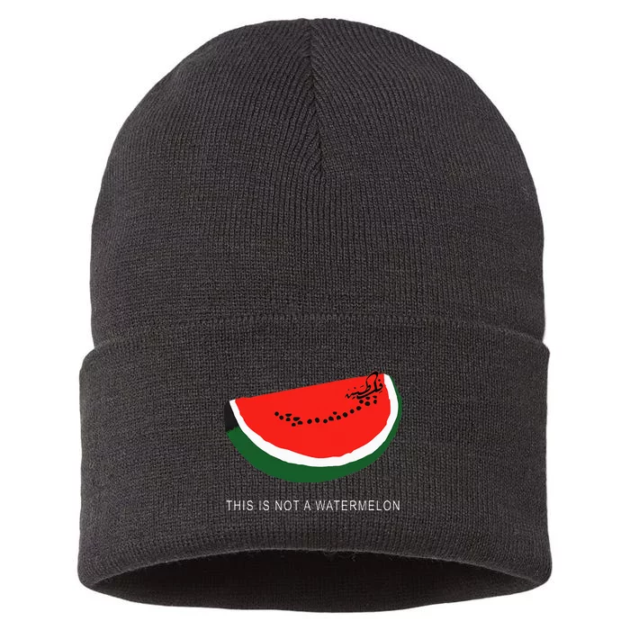 Watermelon 'This is Not a Watermelon' Palestine Collection Sustainable Knit Beanie