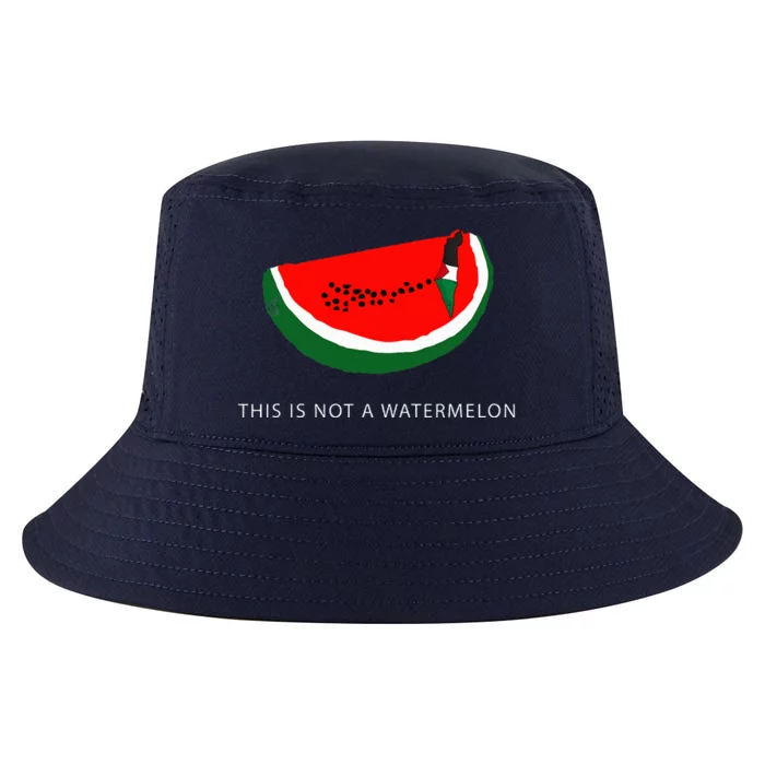 Watermelon 'This is Not a Watermelon' Palestine Collection Cool Comfort Performance Bucket Hat